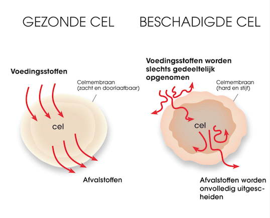 EQology - Schoonheidssalon \